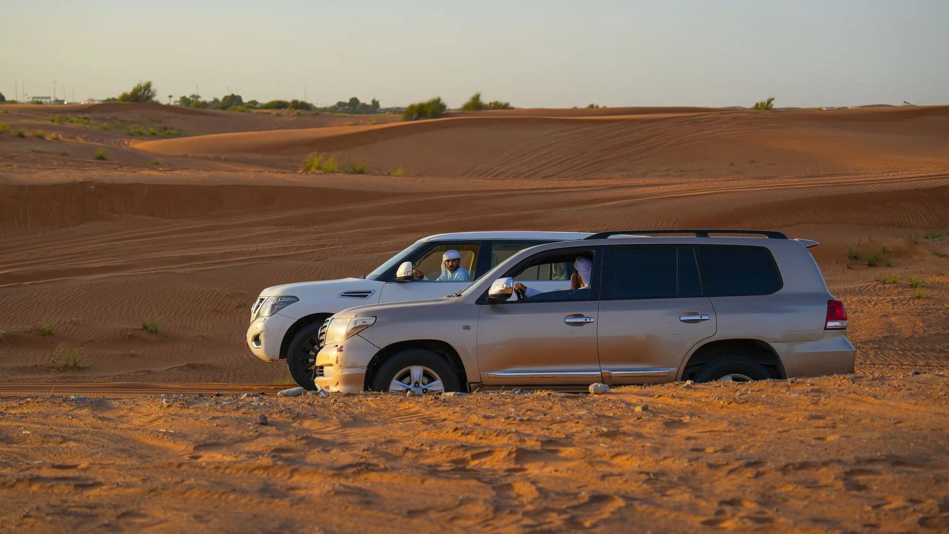 Le safari en 4×4 de fin d'après-midi : la formule classique