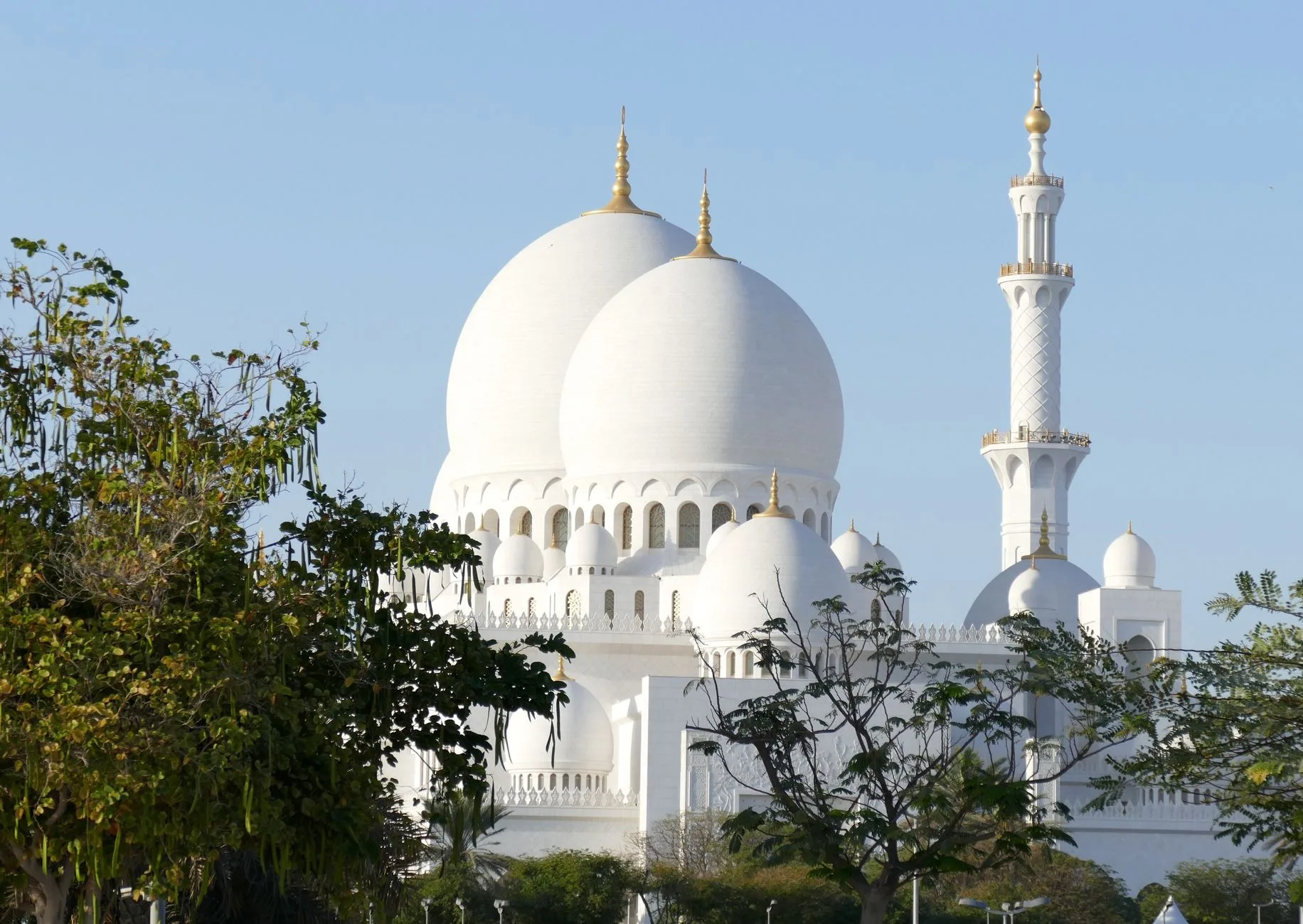 Jour 6 : excursion à Abou Dhabi